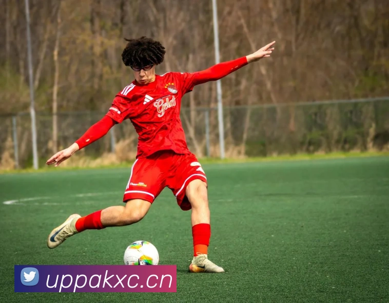 App Interface Preview